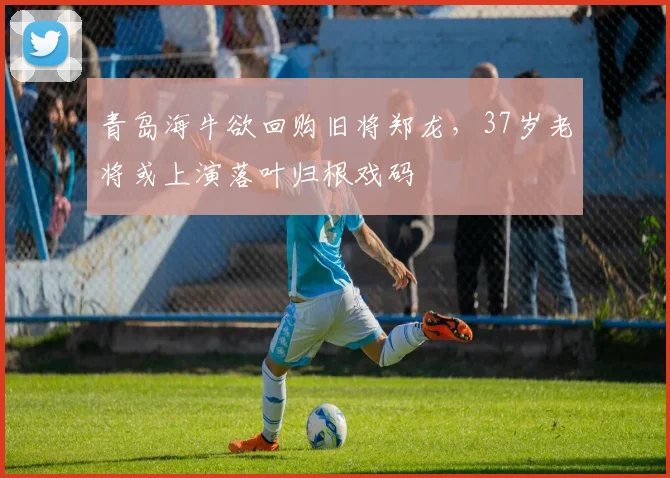 青岛海牛欲回购旧将郑龙，37岁老将或上演落叶归根戏码
